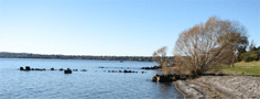 The foreshore of Lake Taupo