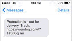 Message screenshot 4: Protection is - out for delivery. Track: - link address