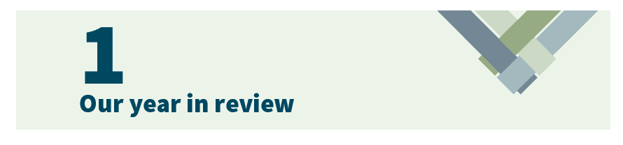 1. Our year in review 1. Our year in review