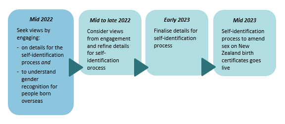 Mid 2022: Seek views by engaging on details for the self-identification process and to understand gender recognition for people born overseas; Mid to late 2022: Consider views from engagement and refine details for self-identification process; Early 2023: Finalise details for self-identification process; Mid 2023: Sef-identification process to amend sex on New Zealand birth certificate goes live.