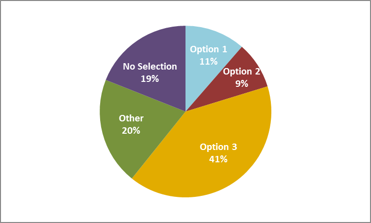 Organisations' support of governance and support options