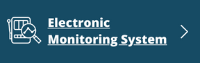 Electronic Monitoring System (link and button)
