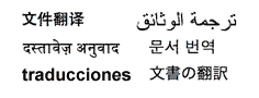 The words 'document translation' in Simplified Chinese, Hindi, Japanese, Spanish, Korean and Arabic